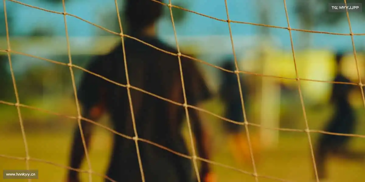 为什么选择我们